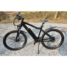 Manufacture Downhill mountain ebike sports travel MTB ebike 36v250w geared motor electric bike wholesale